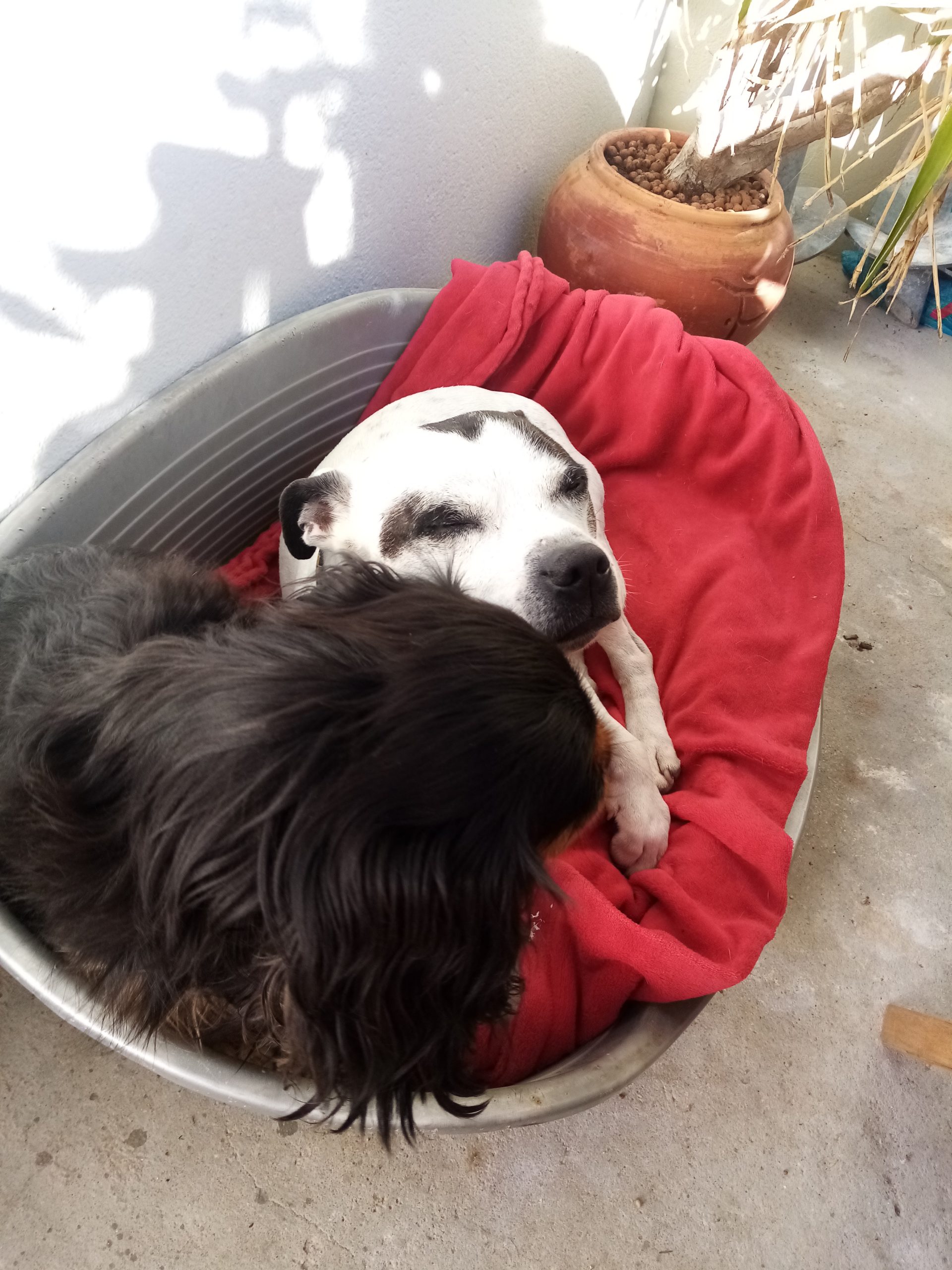 La sieste :)
