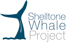 Shelltone Whale Project